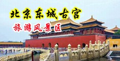 鸡巴捅美女逼操中国北京-东城古宫旅游风景区
